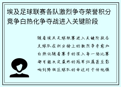 埃及足球联赛各队激烈争夺荣誉积分竞争白热化争夺战进入关键阶段