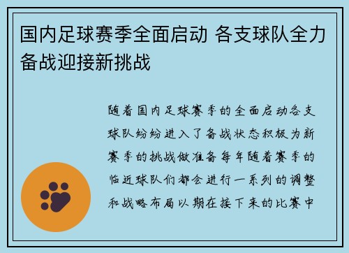 国内足球赛季全面启动 各支球队全力备战迎接新挑战