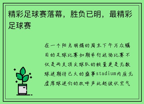 精彩足球赛落幕，胜负已明，最精彩足球赛