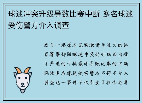 球迷冲突升级导致比赛中断 多名球迷受伤警方介入调查